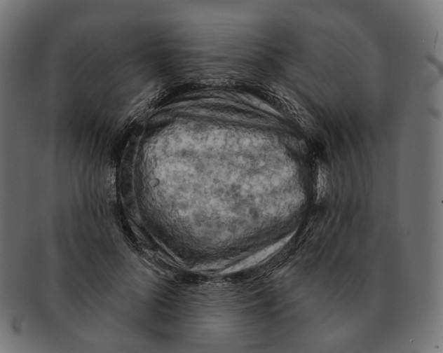 X0000091730696200709211020