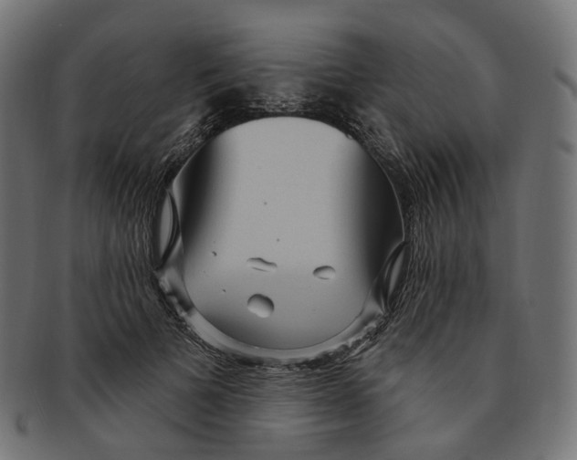 X0000091730697200709211020