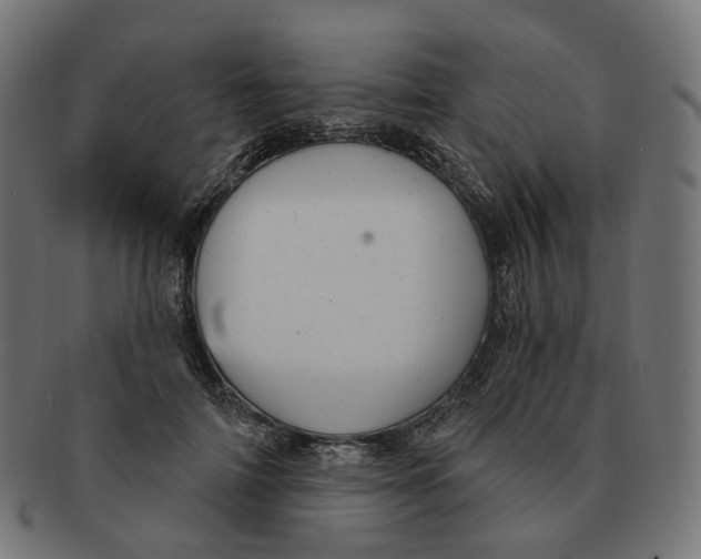 X0000091730698200709211020