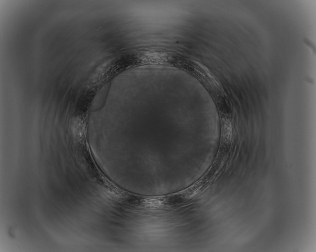 X0000091730701200709211020