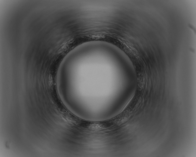 X0000091730704200709211020