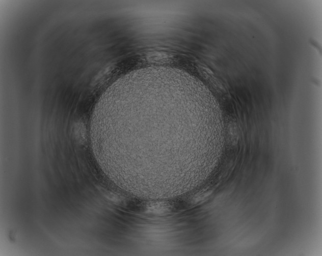 X0000091730705200709211020