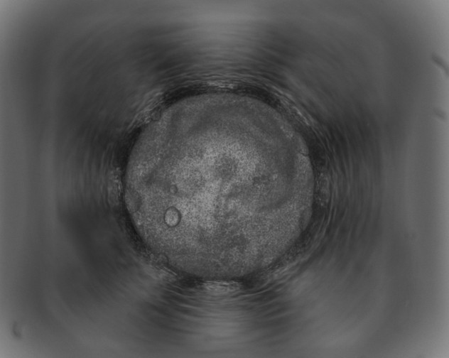 X0000091730707200709211020