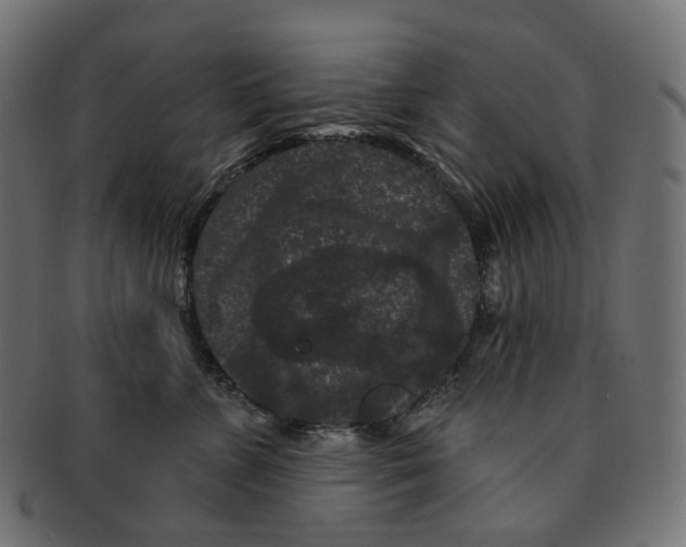 X0000091730715200709211020