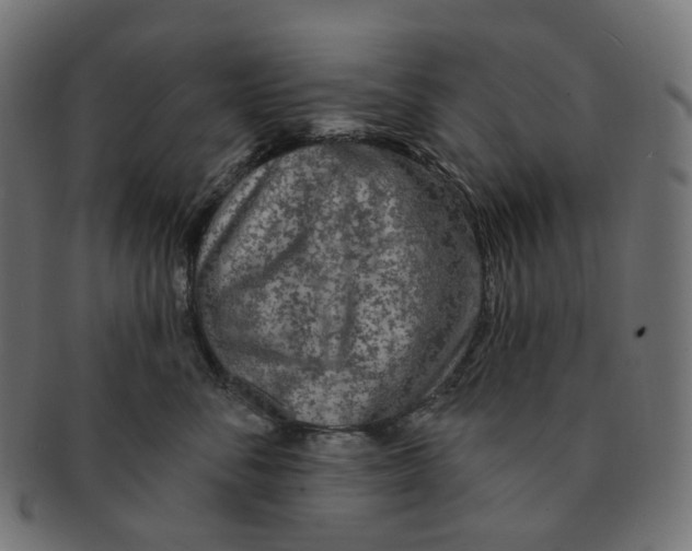 X0000091730716200709211020