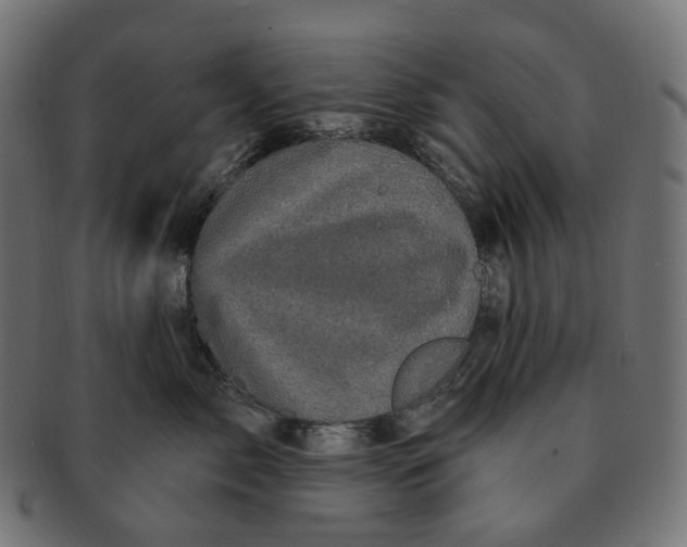 X0000091730717200709211020