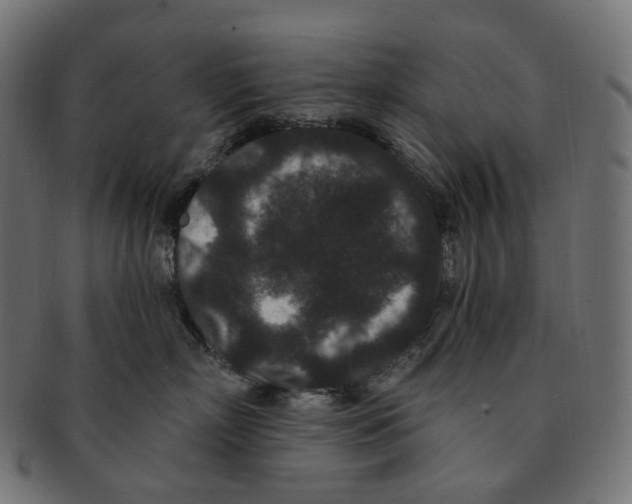 X0000091730718200709211020