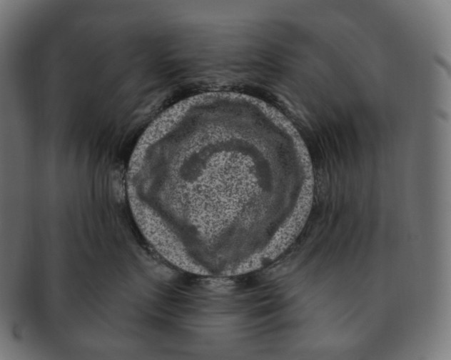 X0000091730719200709211020