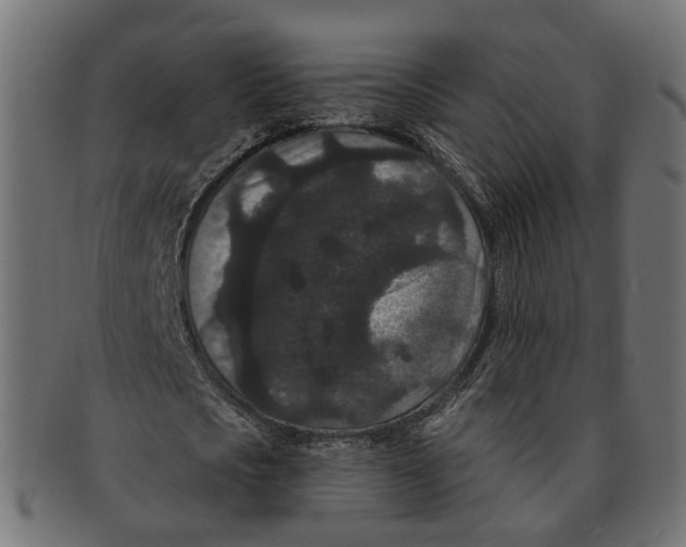 X0000091730721200709211019