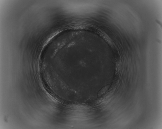 X0000091730722200709211019