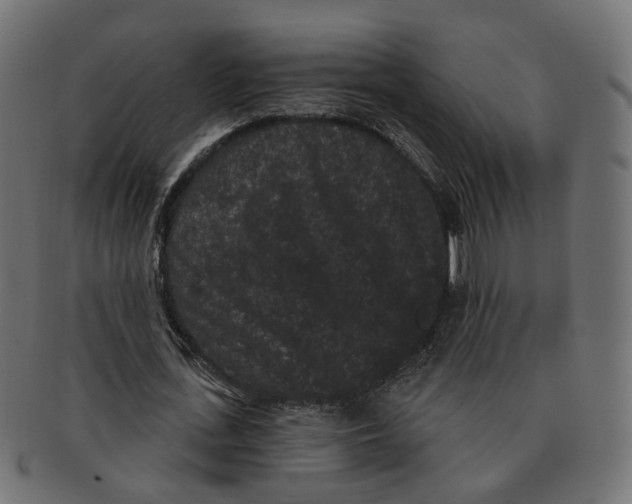 X0000091730723200709211019