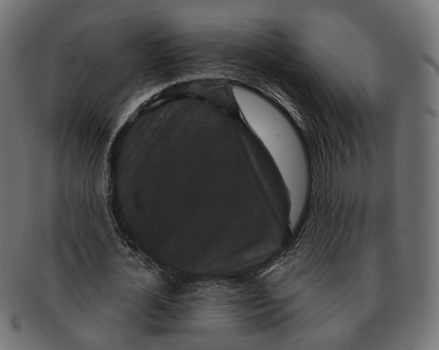 X0000091730724200709211019