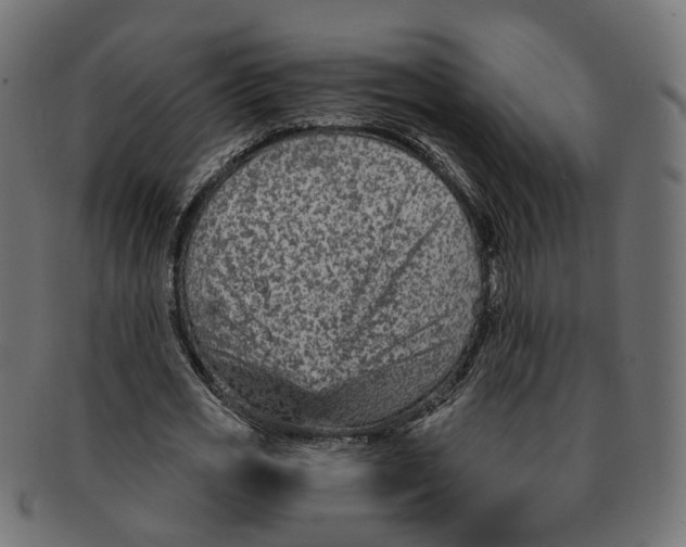 X0000091730725200709211019