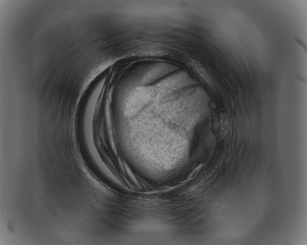 X0000091730726200709211019