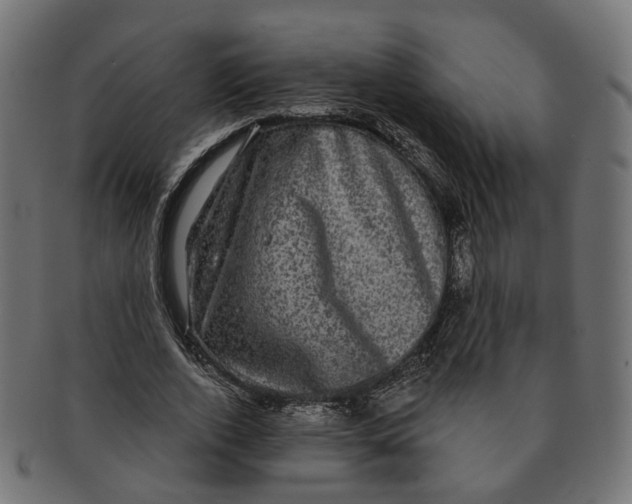 X0000091730728200709211019