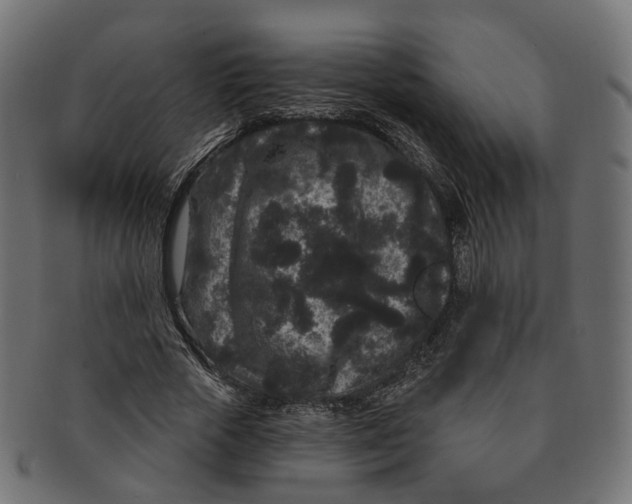 X0000091730729200709211019