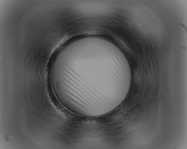 X0000091730730200709211019