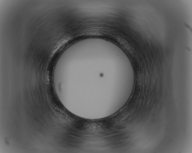 X0000091730731200709211019