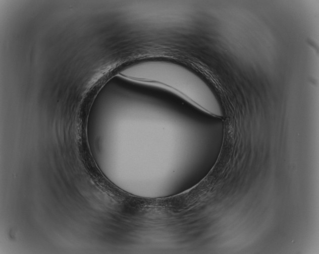 X0000091730732200709211019