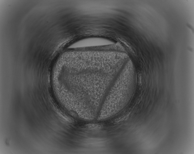 X0000091730733200709211019