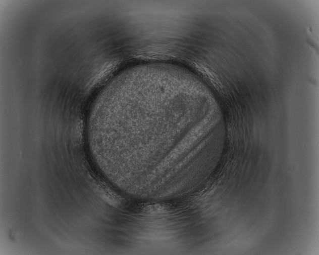 X0000091730735200709211019