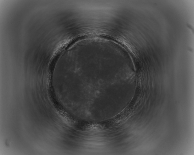 X0000091730736200709211019