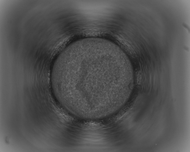 X0000091730737200709211019