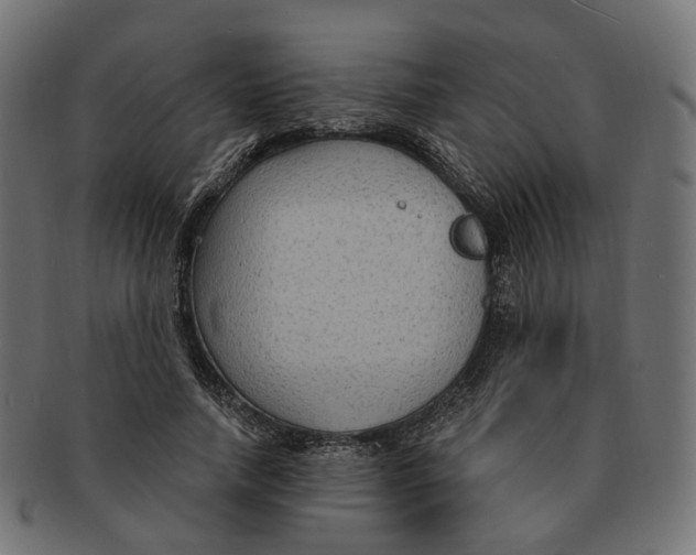 X0000091730738200709211019