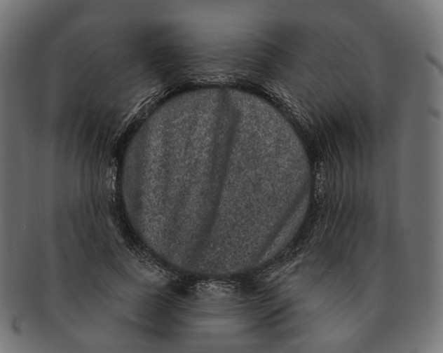 X0000091730739200709211019