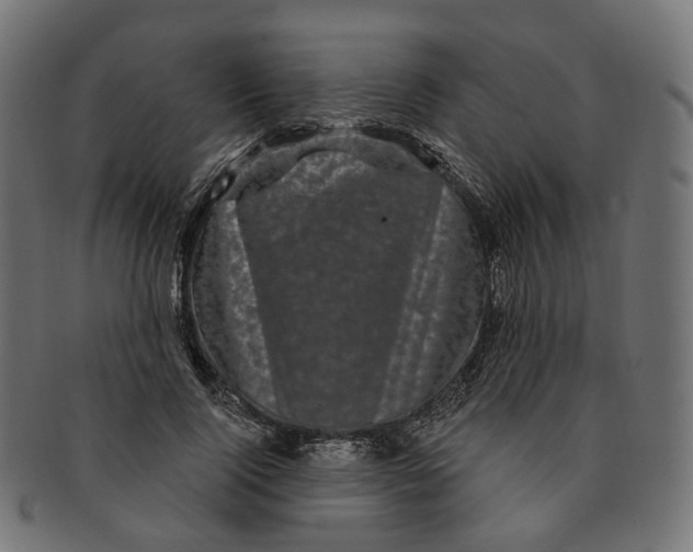 X0000091730740200709211019