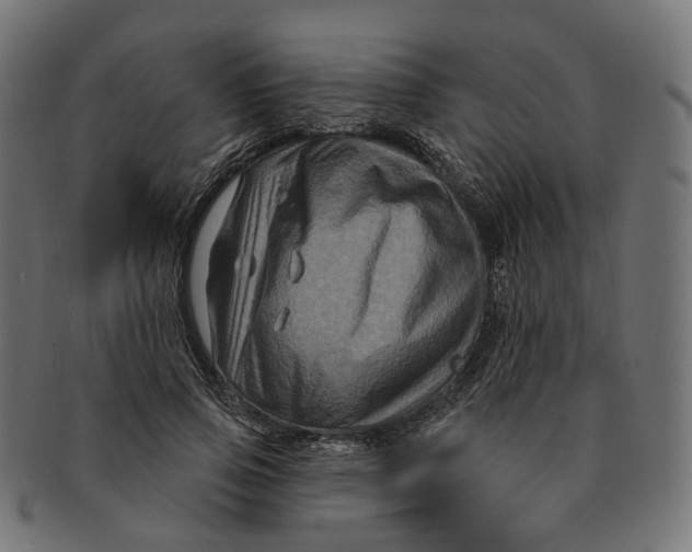 X0000091730741200709211019