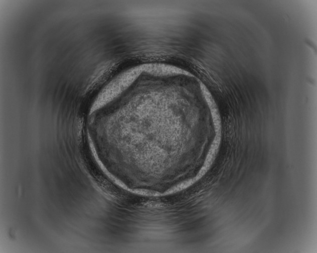 X0000091730742200709211019