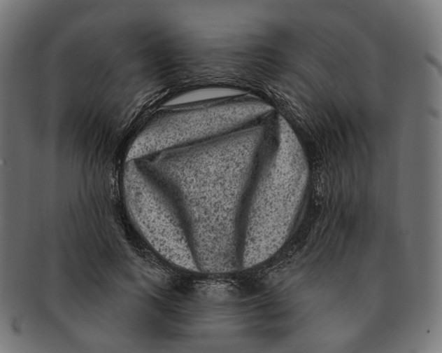 X0000091730743200709211019