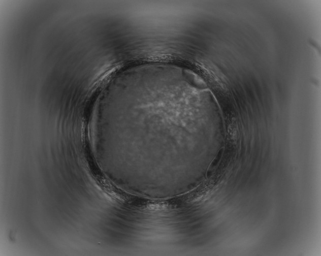 X0000091730744200709211019