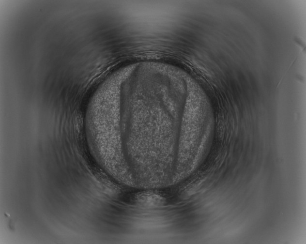 X0000091730747200709211020