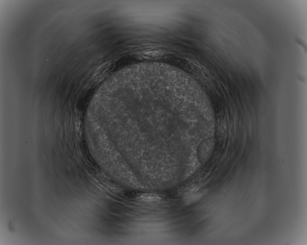 X0000091730749200709211020