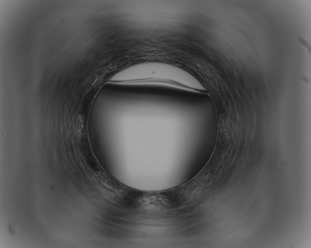 X0000091730752200709211020