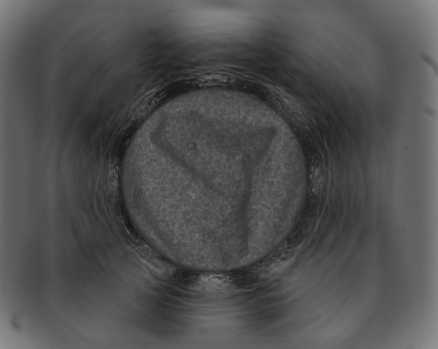 X0000091730753200709211020