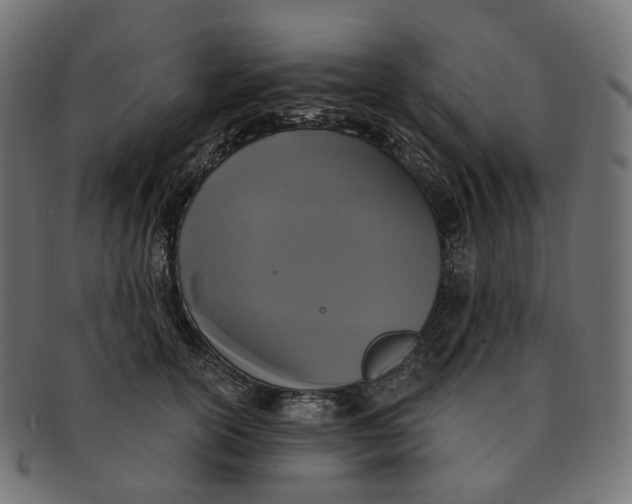 X0000091730754200709211020