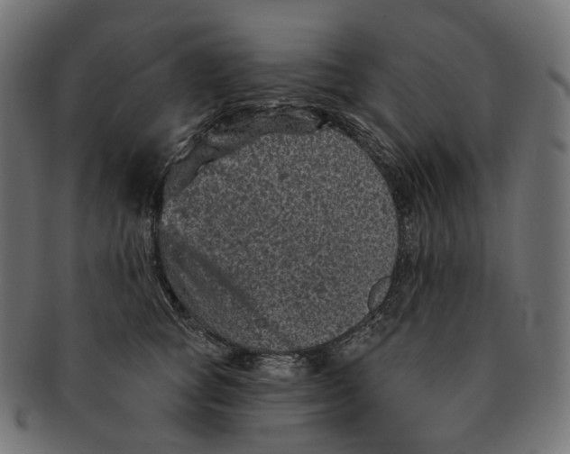 X0000091730757200709211020