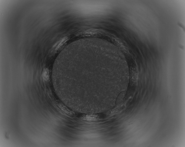 X0000091730758200709211020