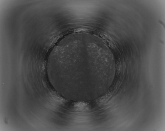 X0000091730759200709211020