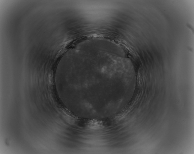 X0000091730760200709211020