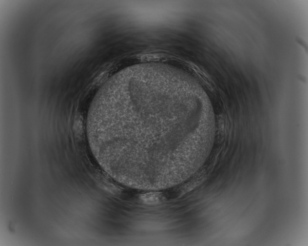 X0000091730761200709211020