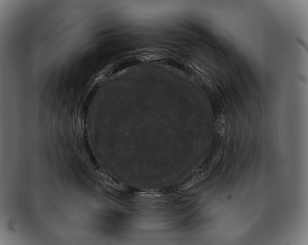 X0000091730763200709211020