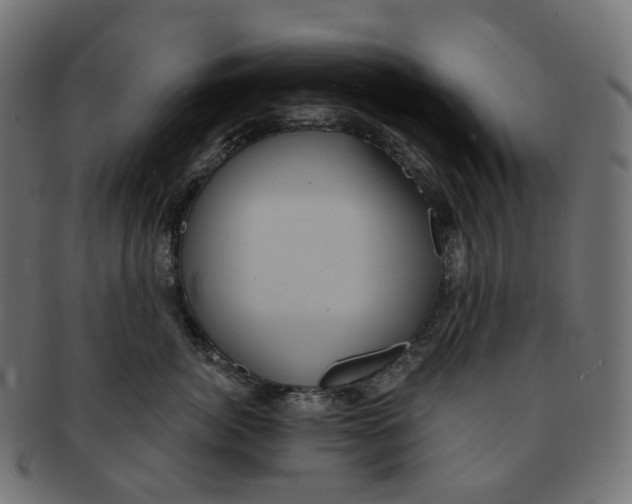 X0000091730764200709211020