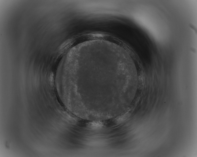 X0000091730765200709211020