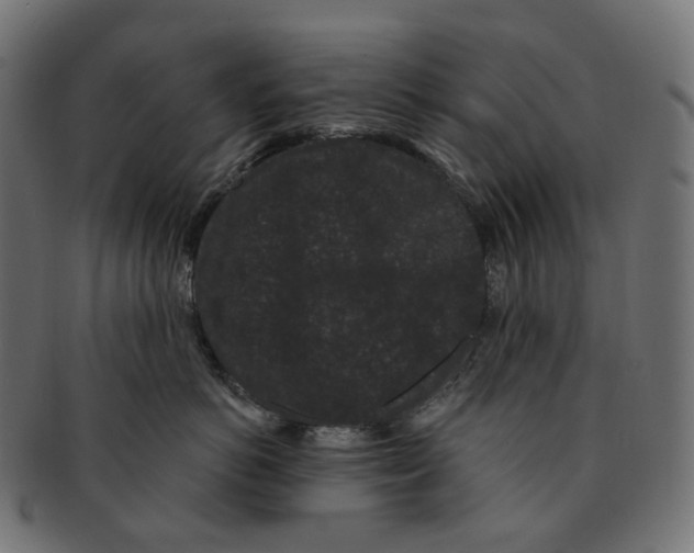 X0000091730766200709211020