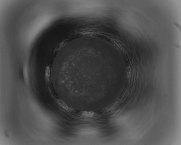 X0000091730767200709211020