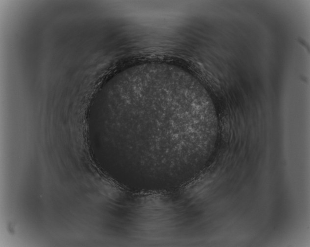 X0000091730769200709211019